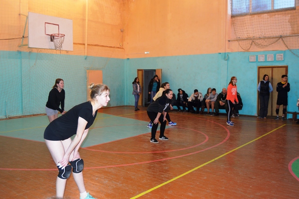 _DSC0413.JPG